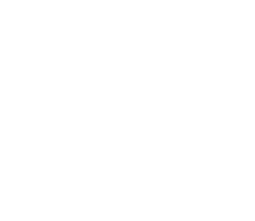BrandWithEssence_logo